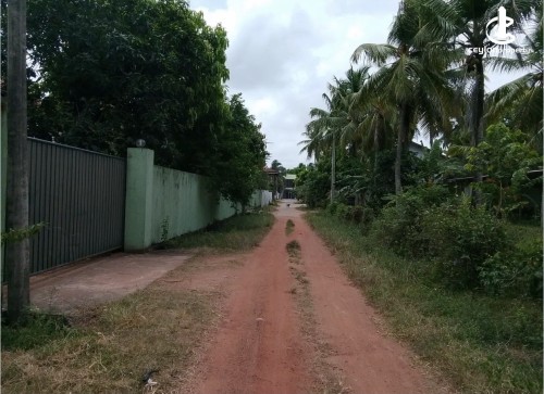 Land for Sale in Udubaddawa - Land for sale in udubaddawa