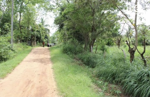 Land for Sale in Anuradhapura - Land for sale in Anuradapura