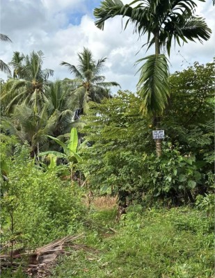 Land for Sale in Bandaragama - Land for sale in bandaragama