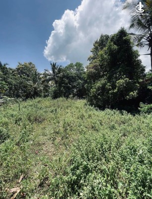 Land for Sale in Galnewa - Land for sale in galnewa