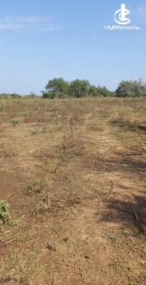 Land for Sale in Nikaweratiya - Land for sale in nikaweratiya