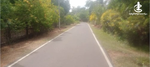 Land for Sale in Anuradhapura - Land for sale in Anuradapura