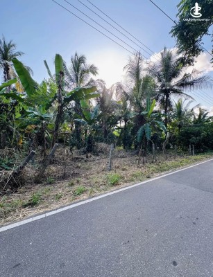 Land for Sale in Narammala - Land for sale in narammala