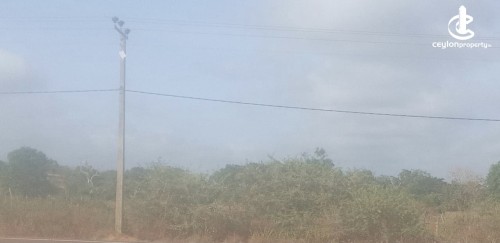 Land for Sale in Galnewa - Land for sale in bulnewa