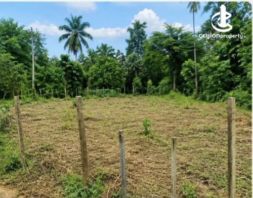 Land for Sale in Kurunegala - Land for sale in kurunagala