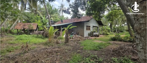 Land for Sale in Kuliyapitiya - Land for sale in kuliyapitiya