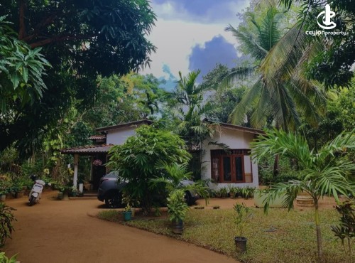 Land for Sale in Galnewa - Land for sale in galnewa