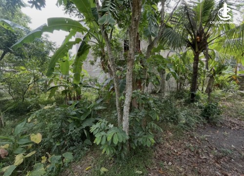 Land for Sale in Panadura - Land for sale in panadura