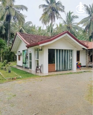 Land for Sale in Kuliyapitiya - Land for sale in Bowaththa