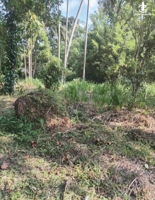Land for Sale in Kurunegala - Land for sale in bulupitiya