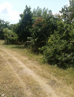 Land for Sale in Kekirawa - Land for sale in kekirawa