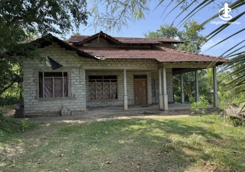 Land for Sale in Kuliyapitiya - Land for sale in kuliyapitiya