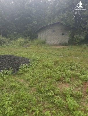Land for Sale in Nikaweratiya - Land for sale in nikaweratiya