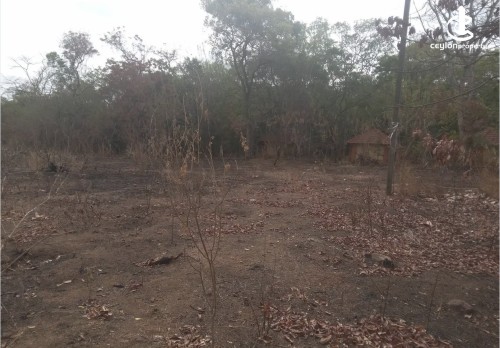 Land for Sale in Anuradhapura - Land for sale in Anuradapura