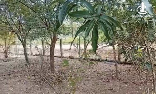 Land for Sale in Wariyapola - Land for sale in wariyapola