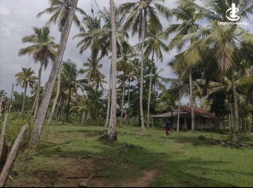 Land for Sale in Weeraketiya - Land for sale in wiraketiya
