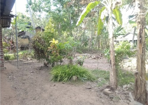 Land for Sale in Kuliyapitiya - Land for sale in kuliyapitiya