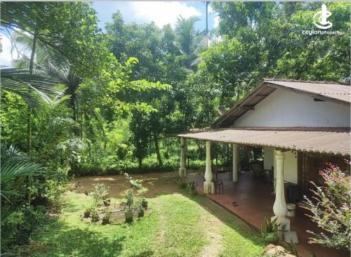 Land for Sale in Avissawella - Land for sale in awissawella