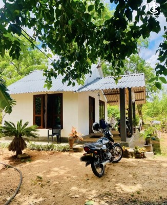 Land for Sale in Polpithigama - Land for sale in polpithigama