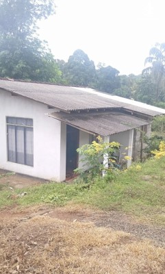 Land for Sale in Gampaha - Land for sale in gampaha