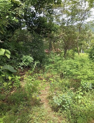Land for Sale in Kurunegala - Land for sale in kurunagala