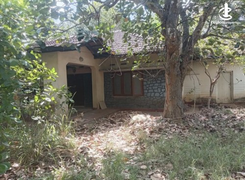 Land for Sale in Anuradhapura - Land for sale in Anuradhapura