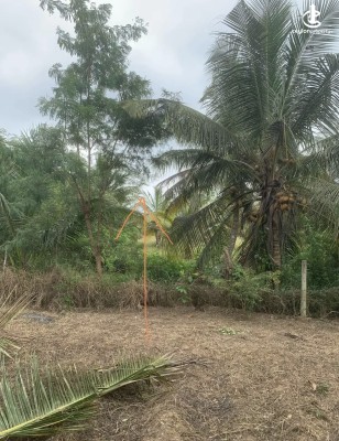 Land for Sale in Anuradhapura - Land for sale in Anuradhapura