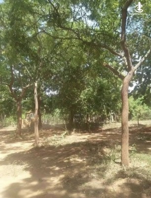 Land for Sale in Kataragama - Land for sale in katharagama