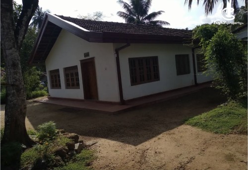 Land for Sale in Mirigama - Land for sale in meerigama