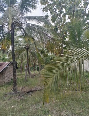 Land for Sale in Wariyapola - Land for sale in wariyapola