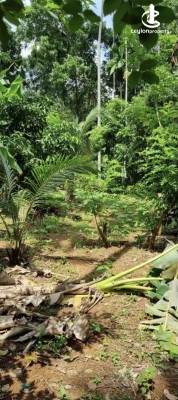 Land for Sale in Alawwa - Land for sale in alawwa