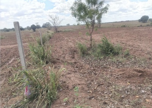 Land for Sale in Anuradhapura - Land for sale in Anuradhapura