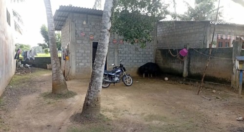Land for Sale in Gampaha - Land for sale in gampaha
