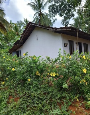 Land for Sale in Gampaha - Land for sale in mallehewa