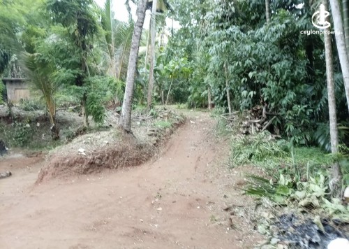 Land for Sale in Dodangaslanda - Land for sale in dodamgaslanda