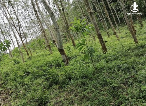 Land for Sale in Padukka - Land for sale in meepe