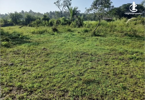 Land for Sale in Polpithigama - Land for sale in galtenwewa