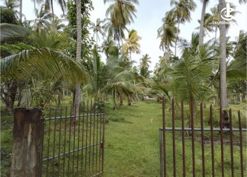 Land for Sale in Wariyapola - Land for sale in mahakeliya