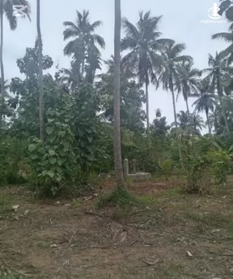 Land for Sale in Wariyapola - Land for sale in wariyapola