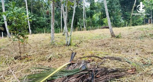 Land for Sale in Alawwa - Land for sale in Alawwa