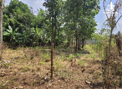 Land for Sale in Anuradhapura - Land for sale in Anuradhapura