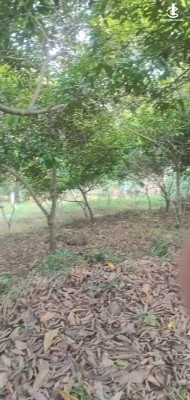 Land for Sale in Horana - Land for Sale in Horana