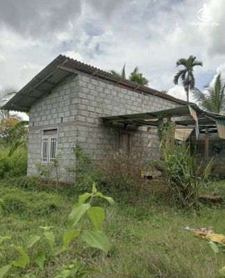 Land for Sale in Anuradhapura - Land for sale in Anuradhapura