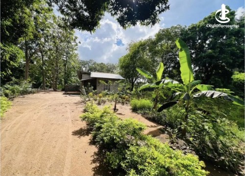 Land for Sale in Anuradhapura - Land for sale in Kekirawa