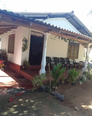 Land for Sale in Bibile - Land for Sale in Bibile