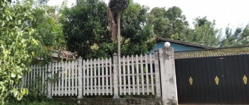 Land for Sale in Kurunegala - Land for Sale in Kurunagala