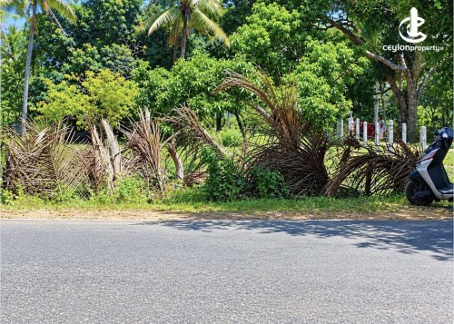 Land for Sale in Anuradhapura - Land for sale in Anuradapura