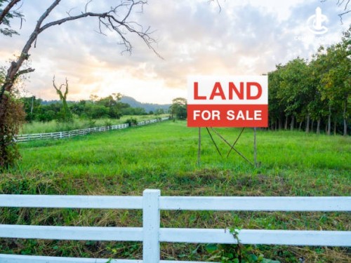 Land for Sale in Pannipitiya - Land for sale in pannipitiya