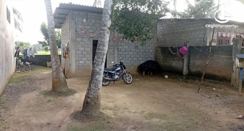 Land for Sale in Gampaha - Land for sale in gampaha