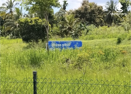 Land for Sale in Kurunegala - Land for sale in pothuhera